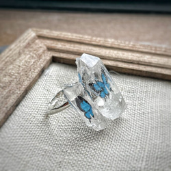 【指輪】水晶標本【オオルリアゲハ】 3枚目の画像