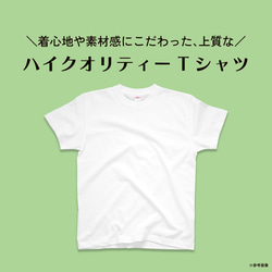 【2024/4/13更新】ハイクオリティー Tシャツの仕様・お手入れ・在庫状況 1枚目の画像