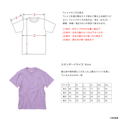 【2024/4/13更新】ハイクオリティー Tシャツの仕様・お手入れ・在庫状況 2枚目の画像