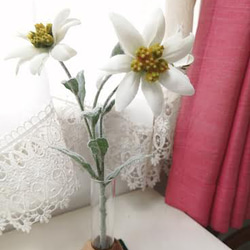 母親節促銷 單花花瓶 雪絨花時尚花瓶 第1張的照片