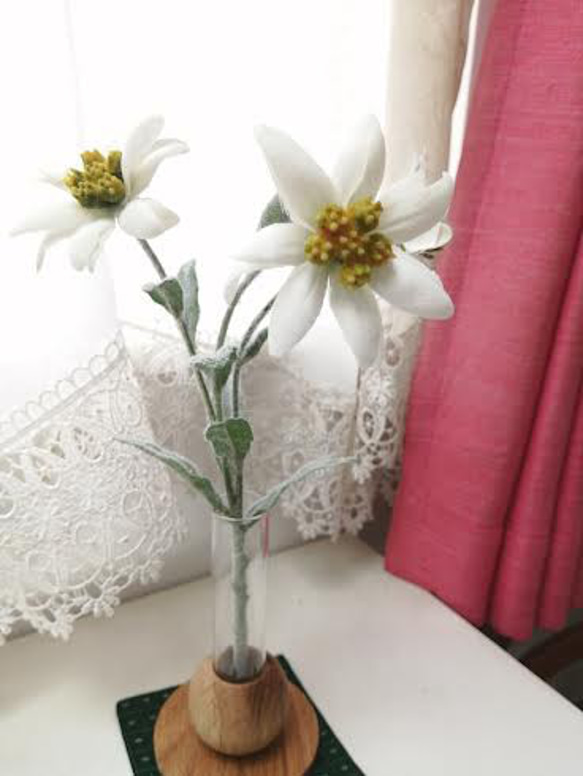 母親節促銷 單花花瓶 雪絨花時尚花瓶 第1張的照片