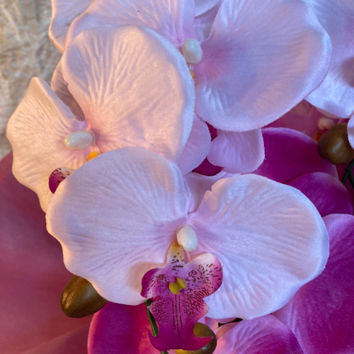 光触媒　人工観葉植物　ウォールグリーン　フェイクグリーン　アマリリス　胡蝶蘭g 光触媒 人工観葉植物 ウォールグリーン フェイク フラワー 胡蝶蘭3色