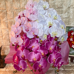 光触媒 人工観葉植物 ウォールグリーン フェイク フラワー 胡蝶蘭3色