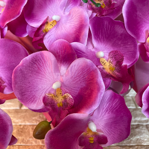 光触媒 人工観葉植物 ウォールグリーン フェイク フラワー 胡蝶蘭3色