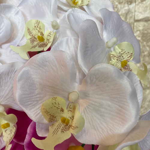 光触媒 人工観葉植物 ウォールグリーン フェイク フラワー 胡蝶蘭3色