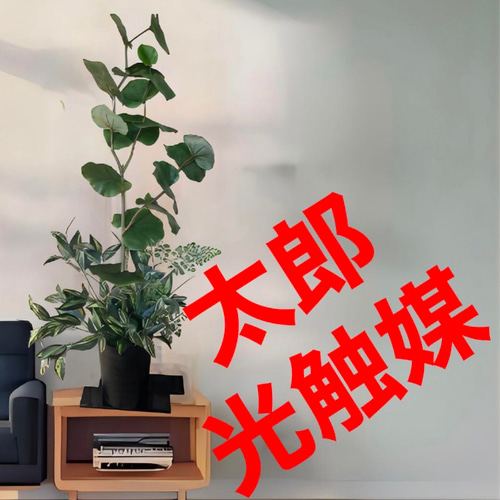 光触媒　人工観葉植物　ウォールグリーン　造花　インテ　シーグレープとモンステラ 光触媒 人工観葉植物 ウォールグリーン 造花 インテリア o