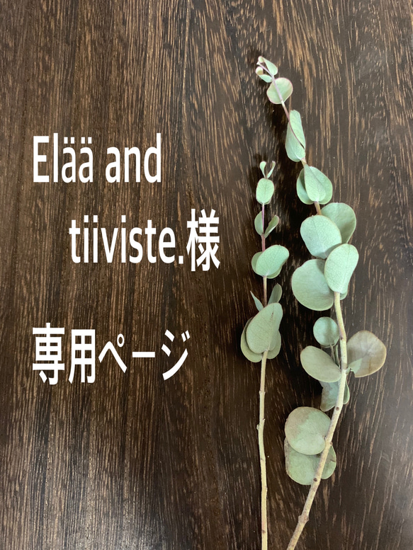 Elää and tiiviste.様　専用ページ 1枚目の画像