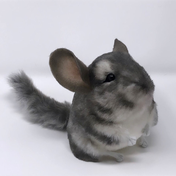 大人の上質  受注制作＞チンチラのぬいぐるみ ぬいぐるみ VULCAN 通販 羊毛フェルト