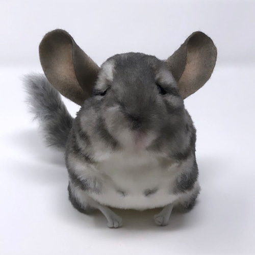 作家ぬいぐるみ　チンチラベビーネズミ ベイビーチンチラのぬいぐるみ | 生物園オンラインショップ