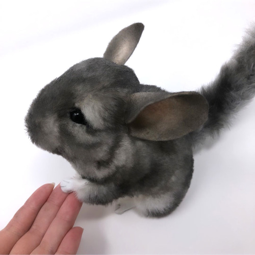 受注制作＞チンチラのぬいぐるみ ぬいぐるみ VULCAN 通販 13850719