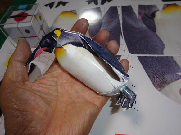 スーパーリアルペーパークラフト　おうさまペンギン　11ｃｍ　　A4写真1枚 5枚目の画像