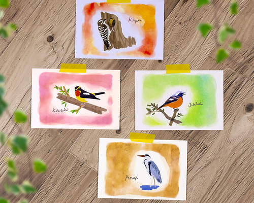 鳥類イラストカード 52枚セット ポストカード 3枚セット シロハラクイナ ハマダ豆丸 送料200円 1
