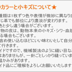 6色ハープ型抜きパスケース・定期入れ/ストラップ付き/レディース 11枚目の画像