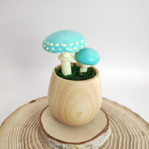 カップきのこ モエギタケ その他インテリア雑貨 みもみよ 通販