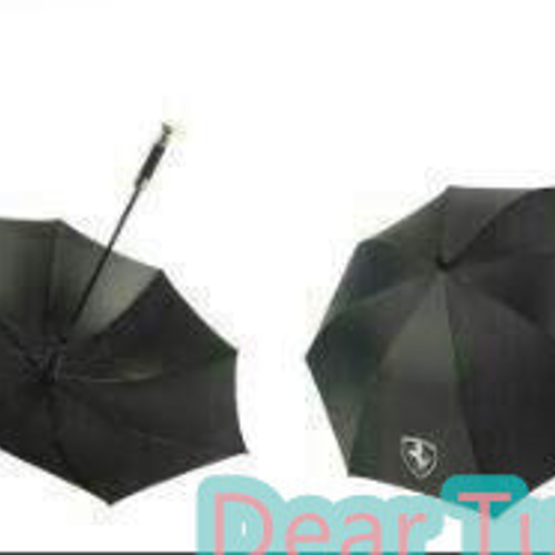 新品 ベンツ自動開閉式 車用傘 超大きい 長傘 その他素材 Dear Tutu