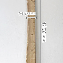 【木の身長計　耳付き材】くり／N-SIN-KUR-02　お子さまの成長を見守る 3枚目の画像