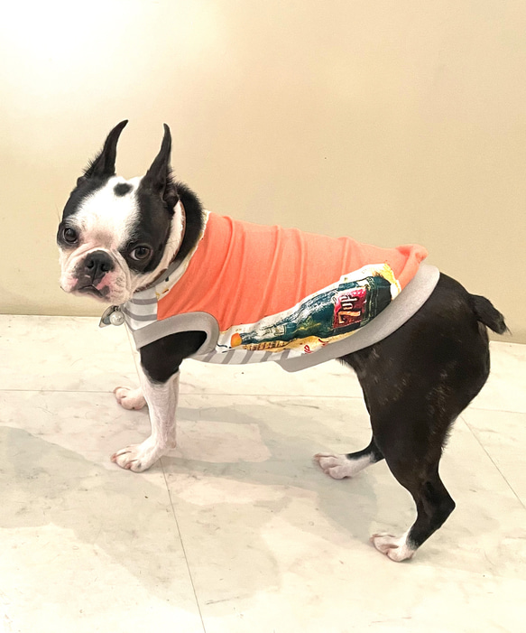 犬服　プリントタンクトップ　⭐︎サーモンピンク⭐︎ 7枚目の画像