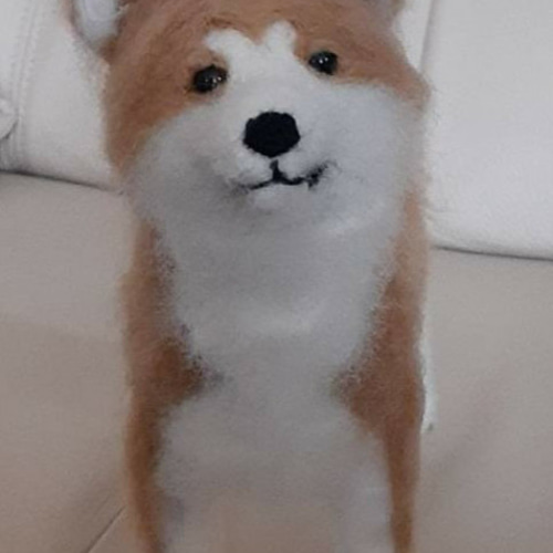 羊毛秋田犬 羊毛フェルト 犬 いぬ 動物 可愛い 羊毛フェルト Kingこう