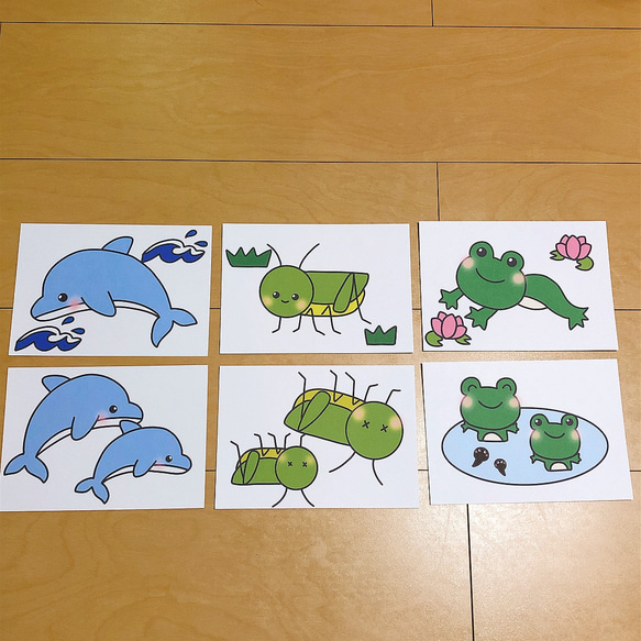 ペープサート イルカはざんぶらこ 保育 夏の歌 誕生会 紙芝居 人気・おすすめ｜省スペース設計・旅行向けにおすすめ 公式 プライバシー配送 今だけ特典付き