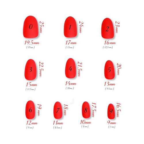 ネイルチップサイズ表 ネイルチップ（つけ爪） 206.eub 通販 13854028