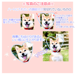  第4張的照片