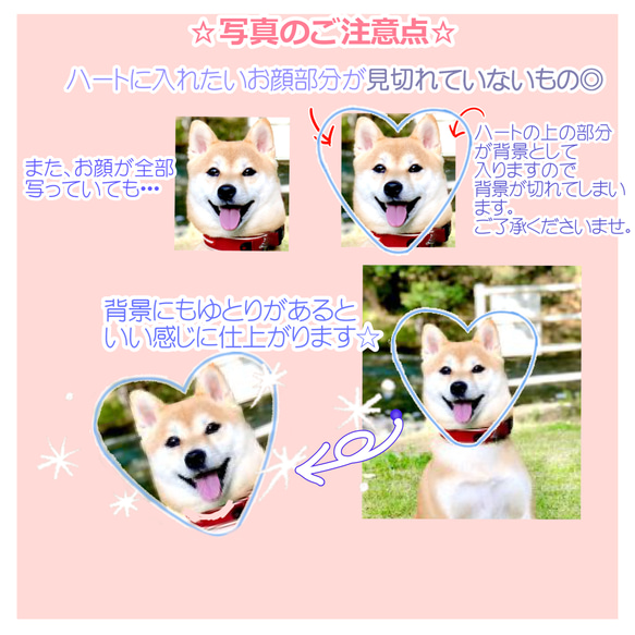  第4張的照片