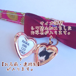 第6張的照片