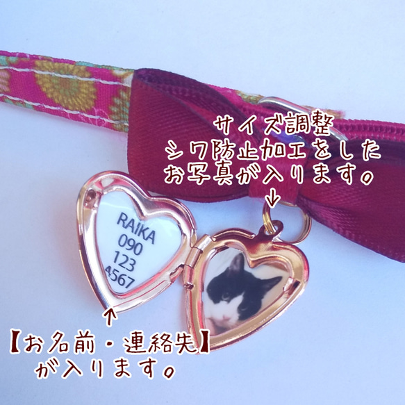  第6張的照片