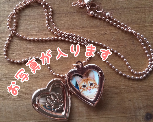 希少 コードギアス ロロのチャーム型ネックレス ロケット コードギアス 反逆のルルーシュ R2 ロロのチャーム型 ネックレス