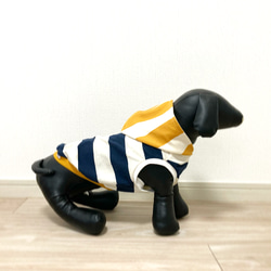 ダブルカラーボーダー柄 ❤︎ フードタンクトップ ドッグウェア　犬服 1枚目の画像