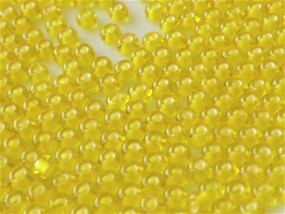 10g 11/0 2mm 黃白寶仕歐莎捷克種子珠 第4張的照片