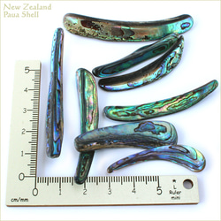 アバロンシェル リム チップ 30g ニュージーランド産 パウア貝 天然の素材 ビーチ 海 1枚目の画像