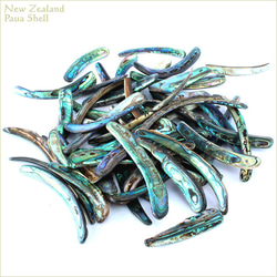 アバロンシェル リム チップ 30g ニュージーランド産 パウア貝 天然の素材 ビーチ 海 6枚目の画像