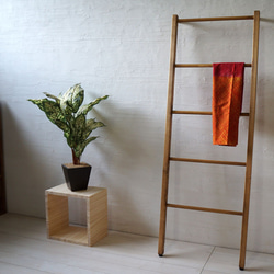 おしゃれに見せる収納♪ラダーラック ハンガー ストール ベルト 天然木