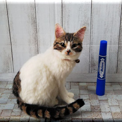 羊毛フェルト　猫　キジシロ猫さん　キジ白　　ねこ　ネコ　猫フィギュア 1枚目の画像
