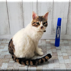 羊毛フェルト　猫　キジシロ猫さん　キジ白　　ねこ　ネコ　猫フィギュア 6枚目の画像