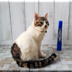 羊毛フェルト　猫　キジシロ猫さん　キジ白　　ねこ　ネコ　猫フィギュア 7枚目の画像