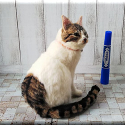 羊毛フェルト　猫　キジシロ猫さん　キジ白　　ねこ　ネコ　猫フィギュア 5枚目の画像
