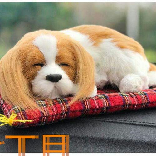 Amazon.co.jp: 【ec-drive】すやすや リアル 犬 ぬいぐるみ 消臭