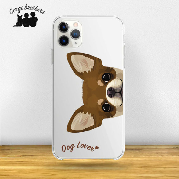 Apple - チワワ 極小チワワ 】生後60日で驚愕の337g！アップルヘッドにドワーフ