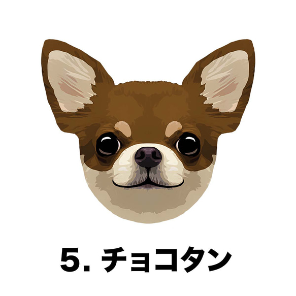 【 スムース チワワ 毛色6色 横向きデザイン】スマホケース クリアソフトケース 犬 iPhone & Android 6枚目の画像