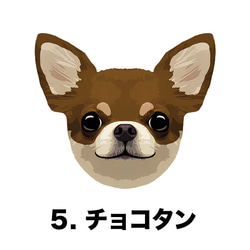 【 スムース チワワ 毛色6色 左下デザイン】スマホケース クリアソフトケース 犬 iPhone &Android 6枚目の画像