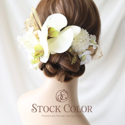 白雨様　ヘアアクセサリー 胡蝶蘭と水引飾りのヘッドドレス/ヘアアクセサリー(ホワイト