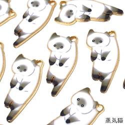 新品未使用⭐️限定品❣️純銀製銀貨✨庭猫 フィジー1オンスカラー版 b7a000b62b84f95f7e386713f7808b