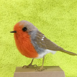 3041 外国切手 マン島 1980 鳥 ミソサザイ ヨーロッパコマドリ2種完 3041 外国切手 マン島 1980 鳥 ミソサザイ ヨーロッパコマドリ2