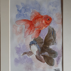 新しいブランド 9ba9e186fbd0bc576d1bcf4226195e 絵画