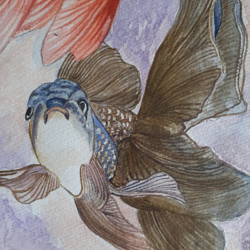 水彩画 金魚 絵画 makochin 通販 13858152｜Creema(クリーマ)