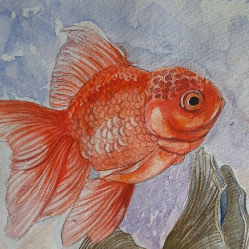 絵画 水彩画「泣く魚」