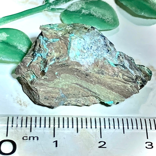 賢者の石❁⃘*.゜【希少】エイラットストーン原石ラフストーン