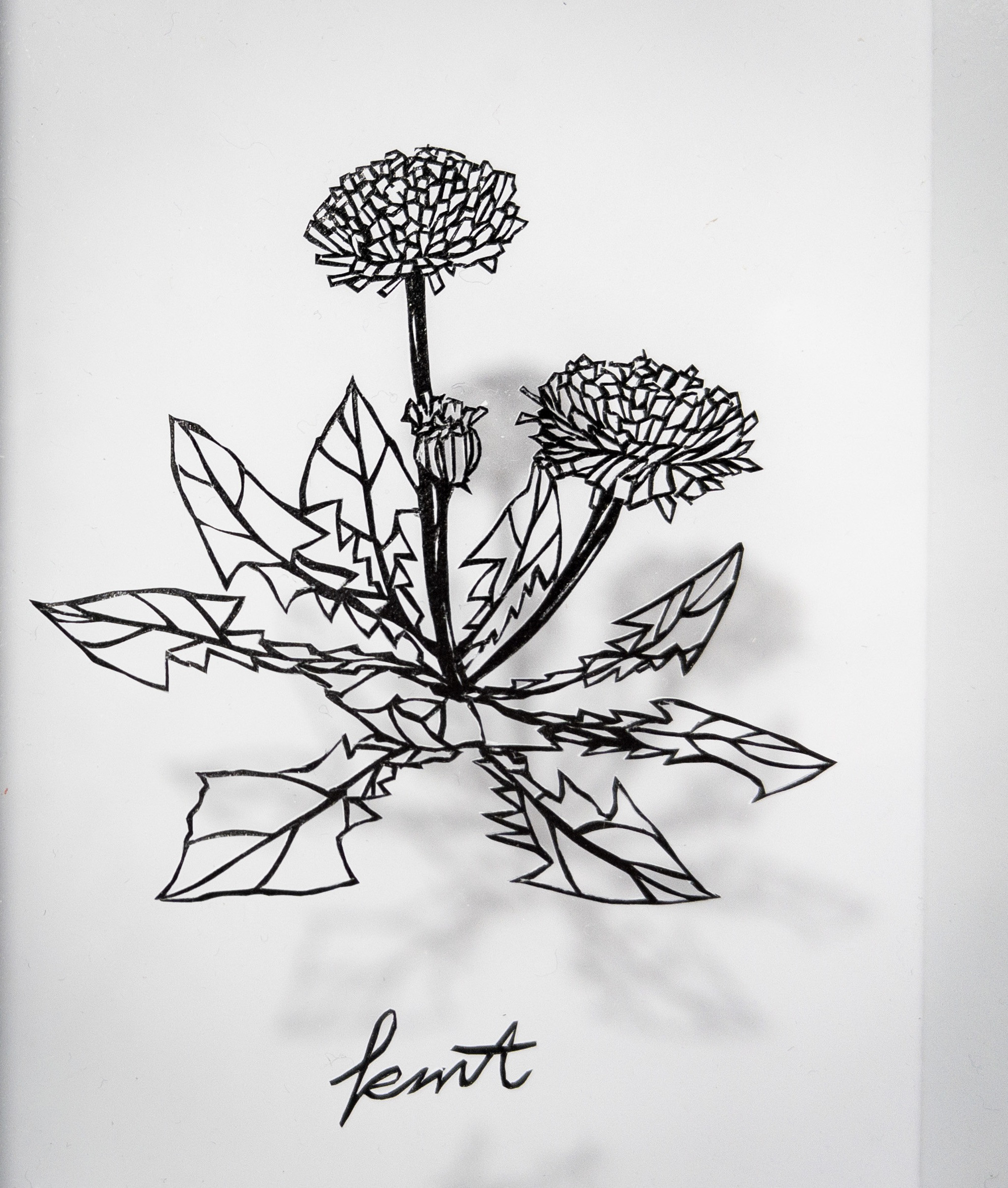 切り絵アートA1サイズ Amazon.co.jp: doArt. 黒色切り絵用紙 景絲（けいし）A4サイズ